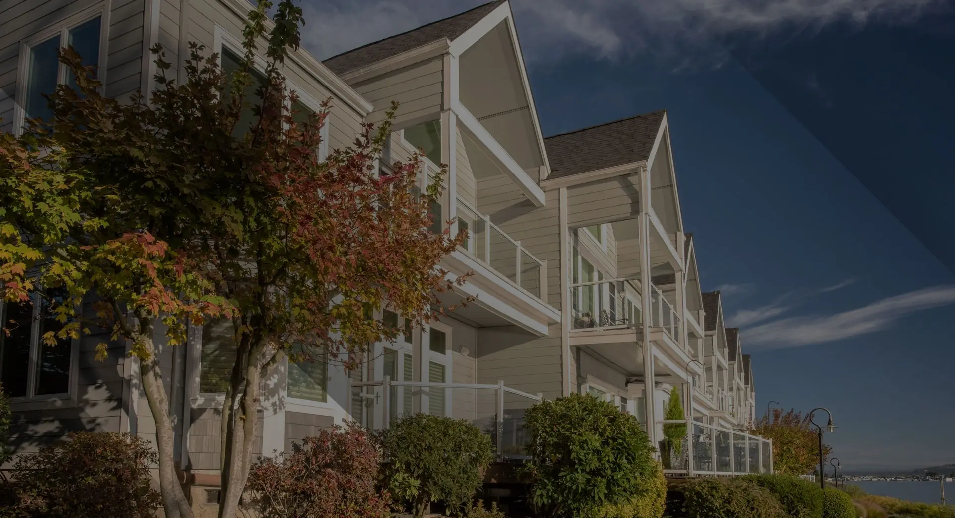 A row of houses with trees in front.